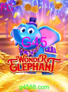 WonderElephant